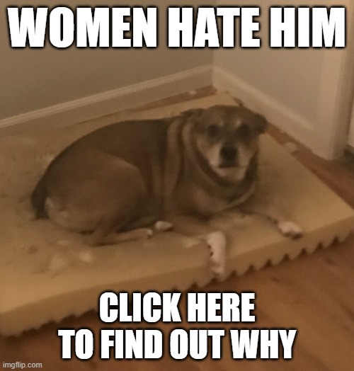 best boy | WOMEN HATE HIM; CLICK HERE TO FIND OUT WHY | image tagged in best boy | made w/ Imgflip meme maker