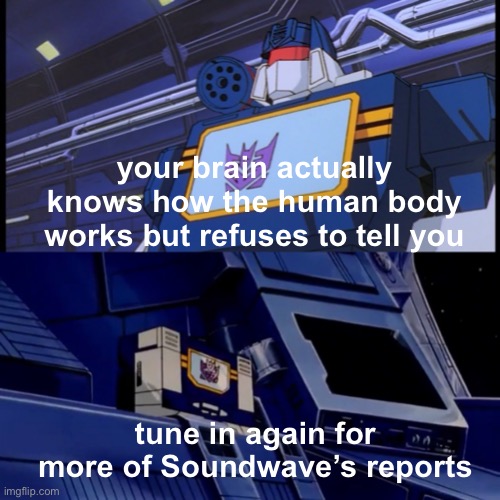 what is your brain hiding | your brain actually knows how the human body works but refuses to tell you; tune in again for more of Soundwave’s reports | image tagged in soundwave will return with more disturbing facts,memes,transformers g1,soundwave | made w/ Imgflip meme maker