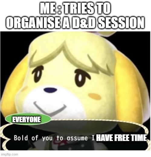 Bold of You to Assume | ME : TRIES TO ORGANISE A D&D SESSION; EVERYONE; HAVE FREE TIME | image tagged in bold of you to assume | made w/ Imgflip meme maker