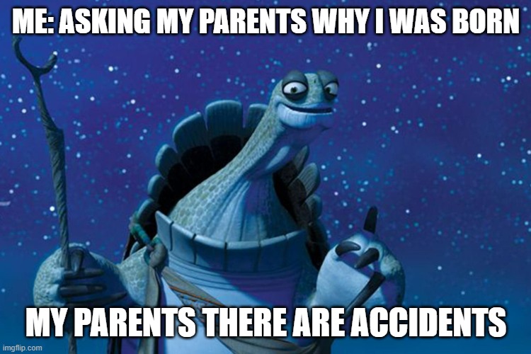 Master Oogway | ME: ASKING MY PARENTS WHY I WAS BORN; MY PARENTS THERE ARE ACCIDENTS | image tagged in master oogway | made w/ Imgflip meme maker