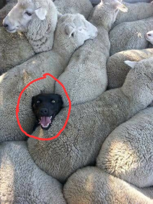 You had one job | image tagged in you had one job | made w/ Imgflip meme maker