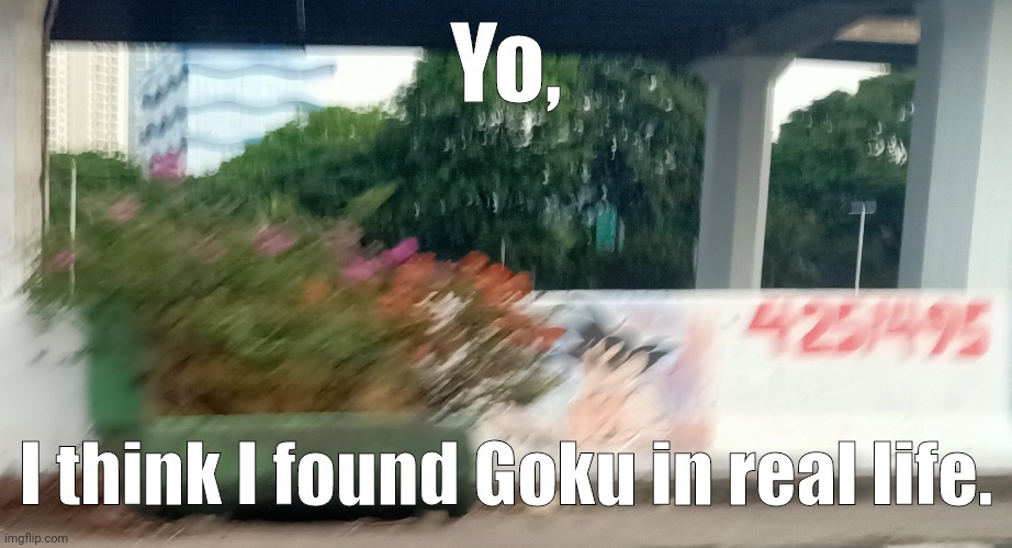 Yo, I think I found Goku in real life. | image tagged in memes,goku,walls | made w/ Imgflip meme maker