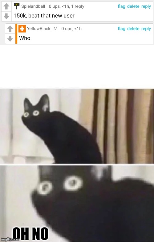 OH NO | image tagged in oh no black cat | made w/ Imgflip meme maker