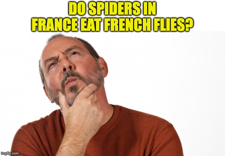 Spiders | DO SPIDERS IN FRANCE EAT FRENCH FLIES? | image tagged in hmmm | made w/ Imgflip meme maker