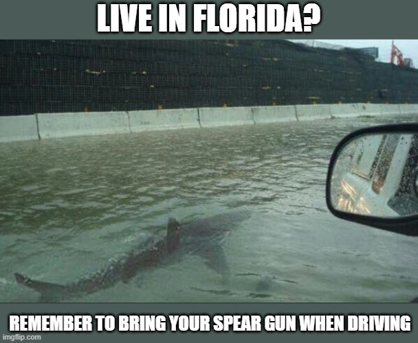 And you thought Sharknado was a fictional movie. |  LIVE IN FLORIDA? REMEMBER TO BRING YOUR SPEAR GUN WHEN DRIVING | image tagged in memes,fun,meanwhile in florida,shark,sharknado | made w/ Imgflip meme maker