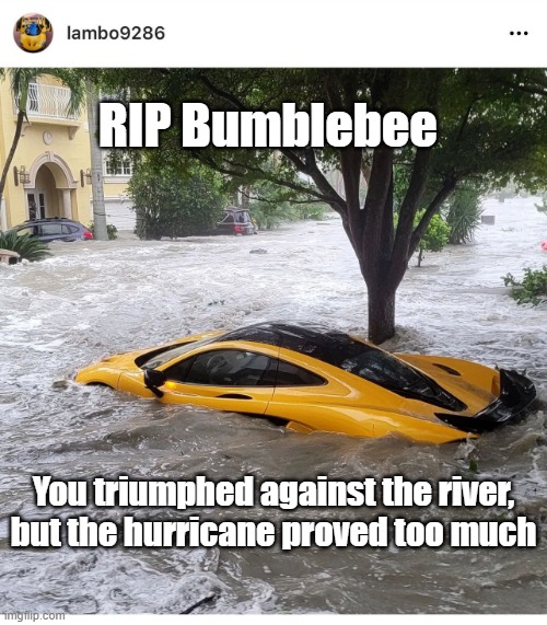 RIP Bumblebee | RIP Bumblebee; You triumphed against the river, but the hurricane proved too much | image tagged in rip bumblebee | made w/ Imgflip meme maker