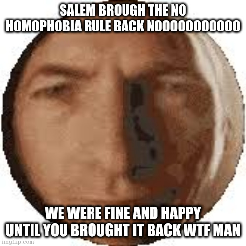 we were peaceful until you forced us to give lgbtq special treatment like please let us have an opinion in peace | SALEM BROUGH THE NO HOMOPHOBIA RULE BACK NOOOOOOOOOOO; WE WERE FINE AND HAPPY UNTIL YOU BROUGHT IT BACK WTF MAN | image tagged in ball goodman | made w/ Imgflip meme maker