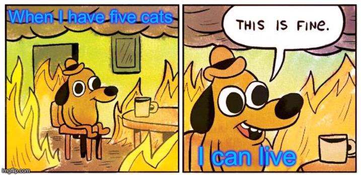 This Is Fine Meme | When I have five cats; I can live | image tagged in memes,this is fine | made w/ Imgflip meme maker