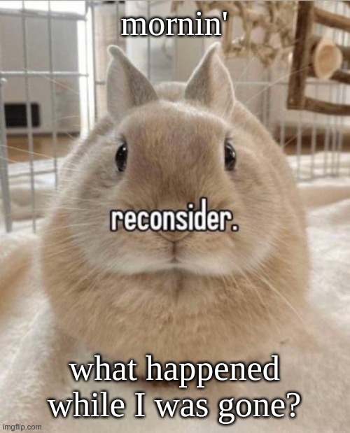 reconsider | mornin'; what happened while I was gone? | image tagged in reconsider | made w/ Imgflip meme maker