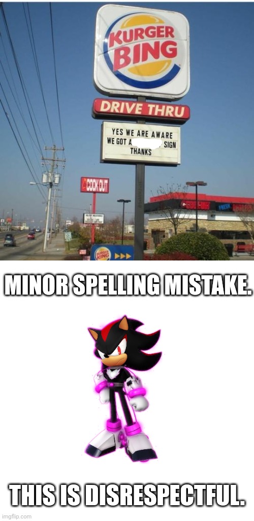 YOU HAD ONE JOB | MINOR SPELLING MISTAKE. THIS IS DISRESPECTFUL. | image tagged in you had one job | made w/ Imgflip meme maker