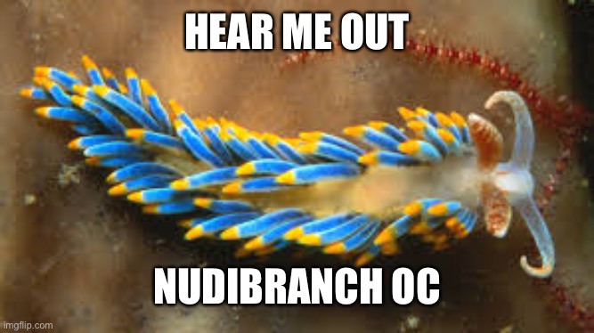 For this mollusc thing | HEAR ME OUT; NUDIBRANCH OC | made w/ Imgflip meme maker