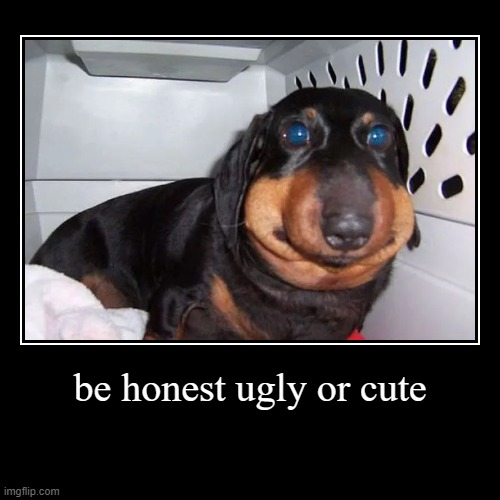 be honest ? | image tagged in funny,demotivationals | made w/ Imgflip demotivational maker
