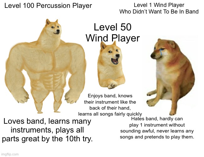 Which Doge Are You? | Level 100 Percussion Player; Level 1 Wind Player Who Didn’t Want To Be In Band; Level 50 Wind Player; Enjoys band, knows their instrument like the back of their hand, learns all songs fairly quickly; Hates band, hardly can play 1 instrument without sounding awful, never learns any songs and pretends to play them. Loves band, learns many instruments, plays all parts great by the 10th try. | image tagged in memes,buff doge vs cheems,band | made w/ Imgflip meme maker