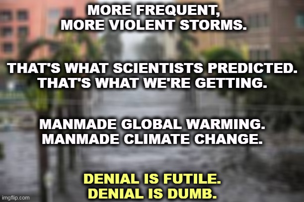 MORE FREQUENT,
MORE VIOLENT STORMS. THAT'S WHAT SCIENTISTS PREDICTED.
THAT'S WHAT WE'RE GETTING. MANMADE GLOBAL WARMING.
MANMADE CLIMATE CHANGE. DENIAL IS FUTILE.
DENIAL IS DUMB. | image tagged in climate change,global warming,hurricane,storm,florida | made w/ Imgflip meme maker