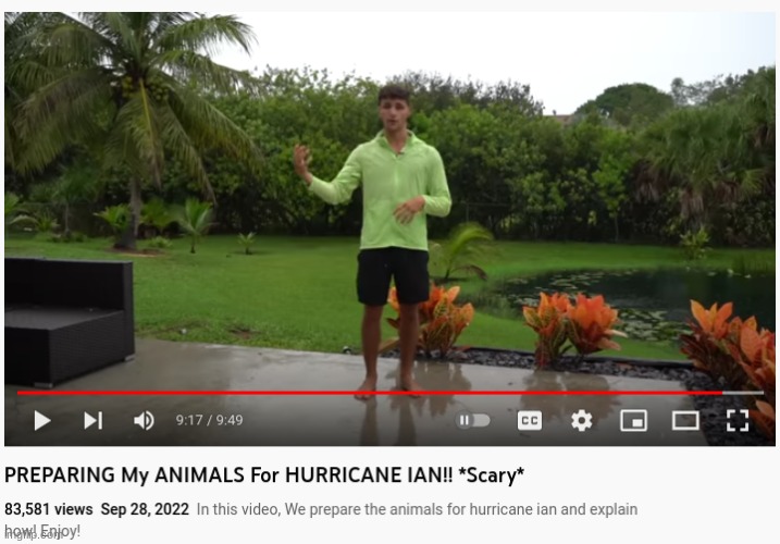 Completely forgot about Nick Bingo, hoping his  amazing animals and builds survive the hurricane | image tagged in aquarium,hurricane | made w/ Imgflip meme maker