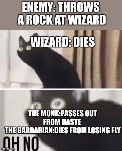 Concentration |  ENEMY: THROWS  A ROCK AT WIZARD; WIZARD: DIES; THE MONK:PASSES OUT FROM HASTE 
THE BARBARIAN:DIES FROM LOSING FLY | image tagged in oh no cat | made w/ Imgflip meme maker