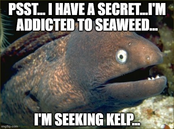 Addiction | PSST... I HAVE A SECRET...I'M ADDICTED TO SEAWEED... I'M SEEKING KELP... | image tagged in memes,bad joke eel | made w/ Imgflip meme maker