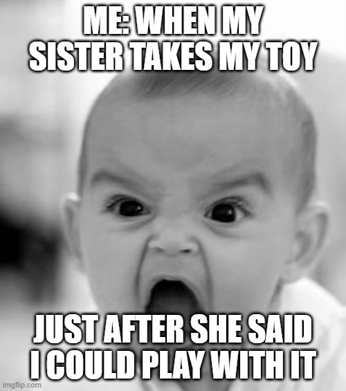 Angry Baby Meme | ME: WHEN MY SISTER TAKES MY TOY; JUST AFTER SHE SAID I COULD PLAY WITH IT | image tagged in memes,angry baby | made w/ Imgflip meme maker