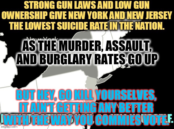 Libs Want You To Kill Yourselves | AS THE MURDER, ASSAULT, AND BURGLARY RATES GO UP; BUT HEY, GO KILL YOURSELVES, IT AIN'T GETTING ANY BETTER WITH THE WAY YOU COMMIES VOTE. | image tagged in die already | made w/ Imgflip meme maker