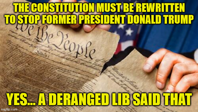 Lib cheaters need to find new ways to cheat... | THE CONSTITUTION MUST BE REWRITTEN TO STOP FORMER PRESIDENT DONALD TRUMP; YES... A DERANGED LIB SAID THAT | image tagged in triggered liberal | made w/ Imgflip meme maker