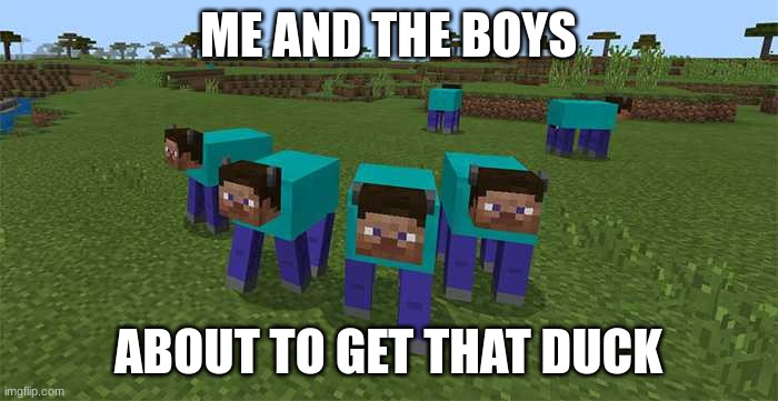 me and the boys | ME AND THE BOYS ABOUT TO GET THAT DUCK | image tagged in me and the boys | made w/ Imgflip meme maker