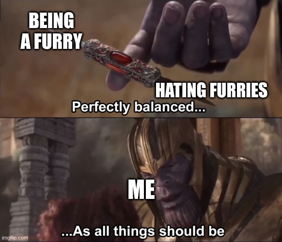 Thanos perfectly balanced as all things should be | BEING A FURRY HATING FURRIES ME | image tagged in thanos perfectly balanced as all things should be | made w/ Imgflip meme maker