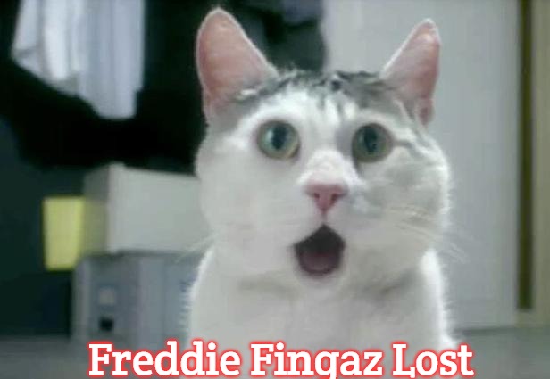 OMG Cat Meme | Freddie Fingaz Lost | image tagged in memes,omg cat,slavic,freddie fingaz | made w/ Imgflip meme maker
