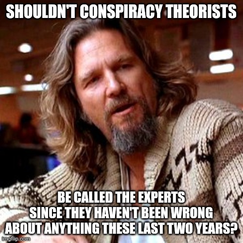 We are the experts. | SHOULDN'T CONSPIRACY THEORISTS; BE CALLED THE EXPERTS
SINCE THEY HAVEN'T BEEN WRONG ABOUT ANYTHING THESE LAST TWO YEARS? | image tagged in memes,confused lebowski | made w/ Imgflip meme maker