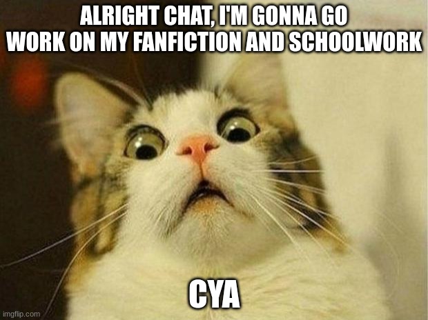 Scared Cat Meme | ALRIGHT CHAT, I'M GONNA GO WORK ON MY FANFICTION AND SCHOOLWORK; CYA | image tagged in memes,scared cat | made w/ Imgflip meme maker