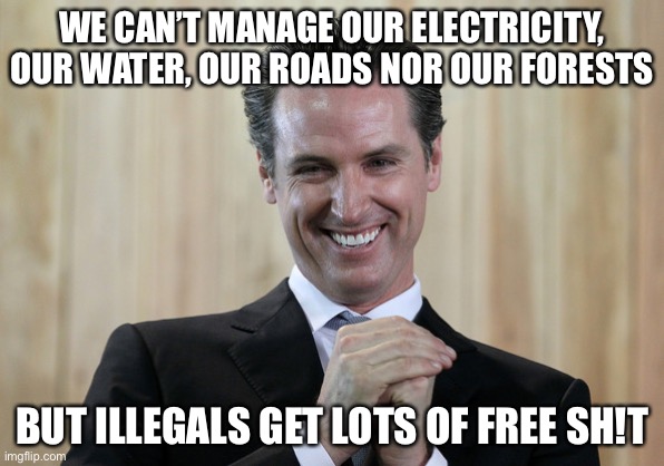 I’m with stupid | WE CAN’T MANAGE OUR ELECTRICITY, OUR WATER, OUR ROADS NOR OUR FOREST’S BUT ILLEGALS GET LOTS OF FREE SH!T | image tagged in scheming gavin newsom,libtards,liberal logic | made w/ Imgflip meme maker
