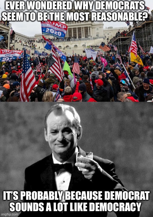 .:. | EVER WONDERED WHY DEMOCRATS SEEM TO BE THE MOST REASONABLE? IT’S PROBABLY BECAUSE DEMOCRAT SOUNDS A LOT LIKE DEMOCRACY | image tagged in bill murray well played sir,democrats,maga | made w/ Imgflip meme maker