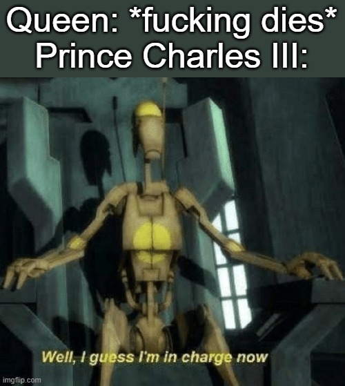 Well, I guess I'm in charge now. | Queen: *fucking dies*
Prince Charles III: | image tagged in well i guess i'm in charge now | made w/ Imgflip meme maker