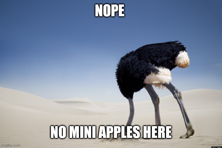 Ostrich head in sand | NOPE NO MINI APPLES HERE | image tagged in ostrich head in sand | made w/ Imgflip meme maker