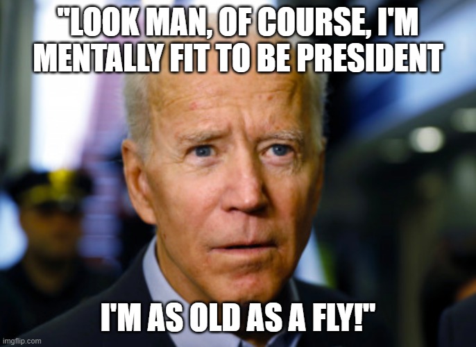 Joe Biden confused | "LOOK MAN, OF COURSE, I'M MENTALLY FIT TO BE PRESIDENT; I'M AS OLD AS A FLY!" | image tagged in joe biden confused | made w/ Imgflip meme maker