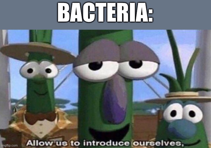 VeggieTales 'Allow us to introduce ourselfs' | BACTERIA: | image tagged in veggietales 'allow us to introduce ourselfs' | made w/ Imgflip meme maker