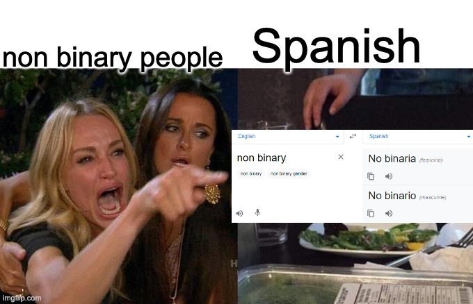 Spanish be like | Spanish; non binary people | image tagged in memes,woman yelling at cat | made w/ Imgflip meme maker