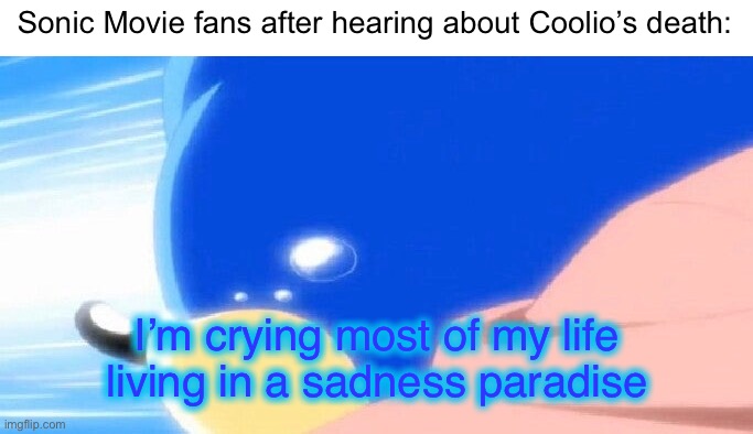 Sonic Movie fans after hearing about Coolio’s death:; I’m crying most of my life living in a sadness paradise | made w/ Imgflip meme maker