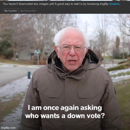 Now who wants a down vote? | who wants a down vote? | image tagged in memes,bernie i am once again asking for your support | made w/ Imgflip meme maker