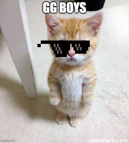 Cute Cat Meme | GG BOYS | image tagged in memes,cute cat | made w/ Imgflip meme maker