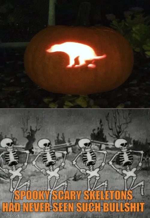 Who would make this? | image tagged in spooky scary skeletons have never seen such bullshit,memes,funny,pumpkin carving,dog poop | made w/ Imgflip meme maker