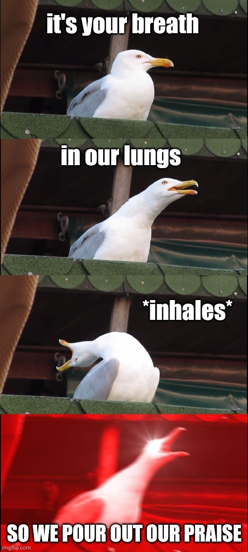 Worship songs be like | it's your breath; in our lungs; *inhales*; SO WE POUR OUT OUR PRAISE | image tagged in memes,inhaling seagull,church | made w/ Imgflip meme maker