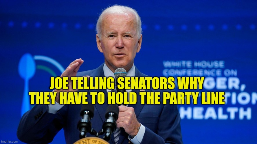 Don't make me call you to the stage | JOE TELLING SENATORS WHY THEY HAVE TO HOLD THE PARTY LINE | image tagged in bring out your dead,fjb,evilmandoevil,theif murderer,democrat ambition | made w/ Imgflip meme maker