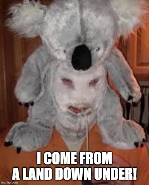 His Koalafications | I COME FROM A LAND DOWN UNDER! | image tagged in unsee juice | made w/ Imgflip meme maker