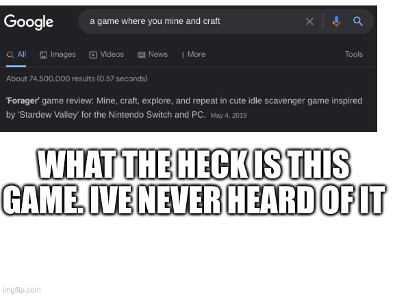 What | WHAT THE HECK IS THIS GAME. IVE NEVER HEARD OF IT | image tagged in blank white template | made w/ Imgflip meme maker