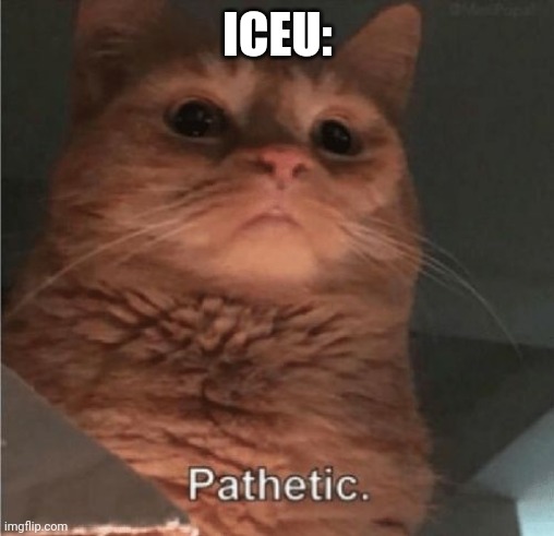 Pathetic Cat | ICEU: | image tagged in pathetic cat | made w/ Imgflip meme maker