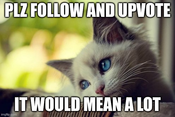 PLZ | PLZ FOLLOW AND UPVOTE; IT WOULD MEAN A LOT | image tagged in memes,first world problems cat | made w/ Imgflip meme maker
