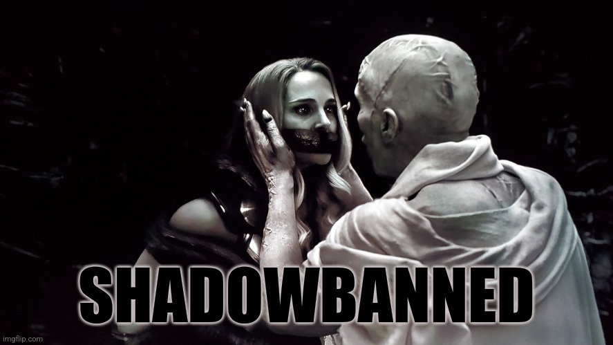 Shadowbanned | SHADOWBANNED | image tagged in natalie portman gagged by thor god butcher,memes,funny,twitter,banned | made w/ Imgflip meme maker