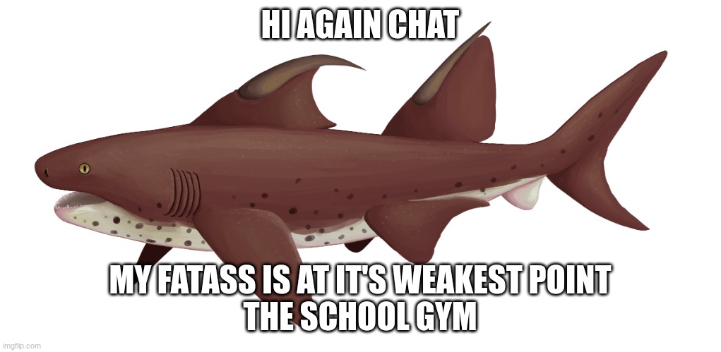 Dracopristis | HI AGAIN CHAT; MY FATASS IS AT IT'S WEAKEST POINT
THE SCHOOL GYM | image tagged in dracopristis | made w/ Imgflip meme maker