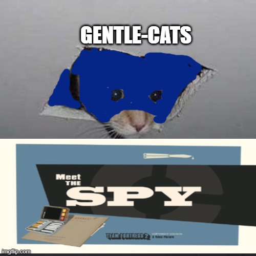 DID ANYONE SCRATCH A RED DOG ON THE WAY? | GENTLE-CATS | image tagged in memes,ceiling cat | made w/ Imgflip meme maker