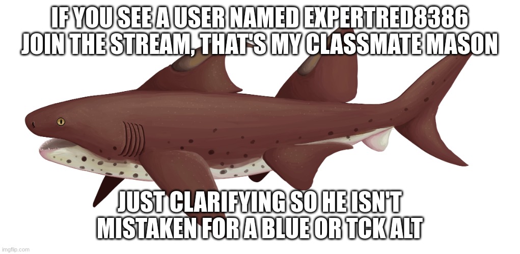 Dracopristis | IF YOU SEE A USER NAMED EXPERTRED8386 JOIN THE STREAM, THAT'S MY CLASSMATE MASON; JUST CLARIFYING SO HE ISN'T MISTAKEN FOR A BLUE OR TCK ALT | image tagged in dracopristis | made w/ Imgflip meme maker